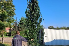 4ba47520-b17b-41d2-abeb-66bdbade7569